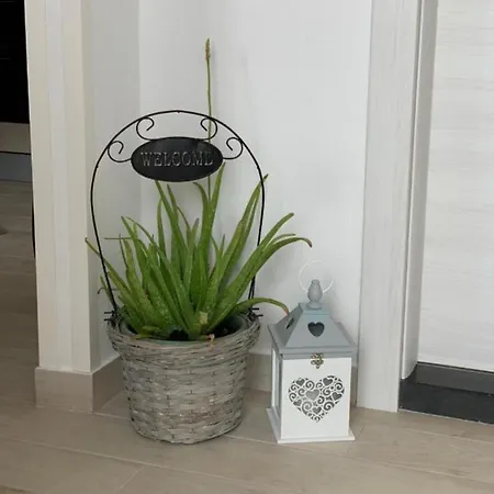 Apartment Salov